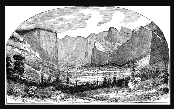 Yosemite Climbing Association